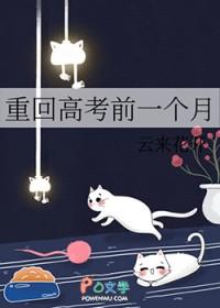 重回高考前一个月楚