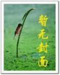 族之鬼 雾雪精灵类似的