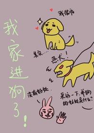 我家狗窝通龙宫[七零