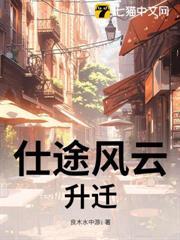 仕途风云之
