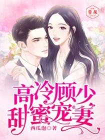 高冷顾少甜蜜宠妻全文免费阅读