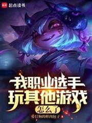 lol我职业打其他游戏不行
