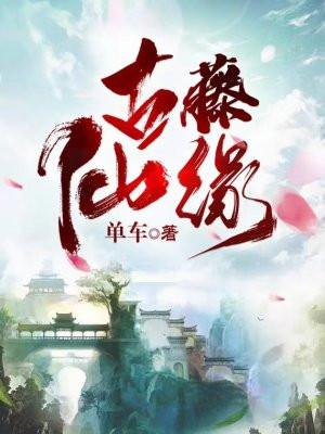 古藤科技有限公司