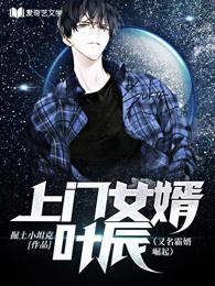 上门女婿叶辰又名