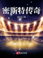 密斯特罗