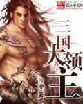 三国大领主攻略