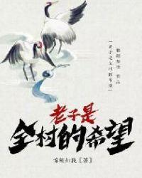 老子是全村的希望正版