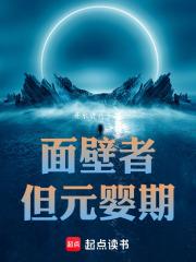 面壁者但元婴期