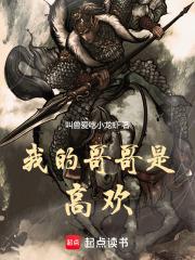 我的哥哥是高欢 最新章节 无弹窗