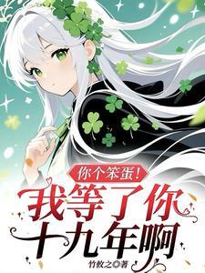 你这个笨蛋