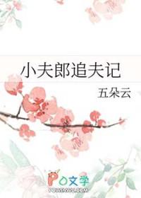 小夫郎追夫记全文TXT