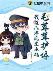 兽兽军团解说