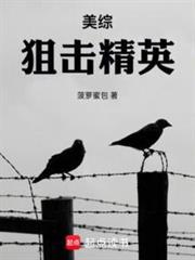 狙击精英美版有中文吗