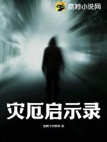 灾厄启示录追忆挑战