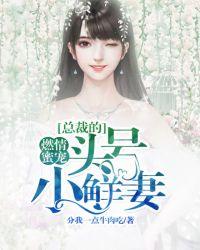 总裁的头号小鲜妻
