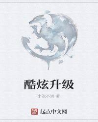 酷炫升级