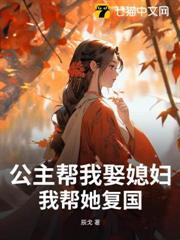 公主帮我娶媳妇，我帮她复国