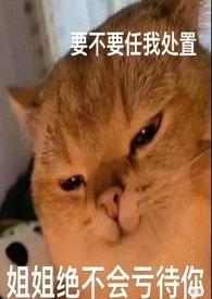论女a与哨向的兼容性（h）